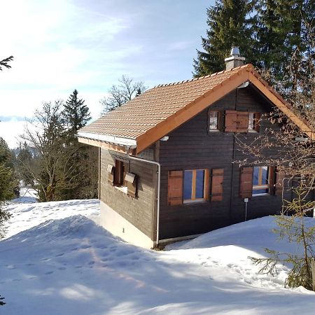 Chalet Chalet De La Vue Des Alpes By Interhome Екстериор снимка