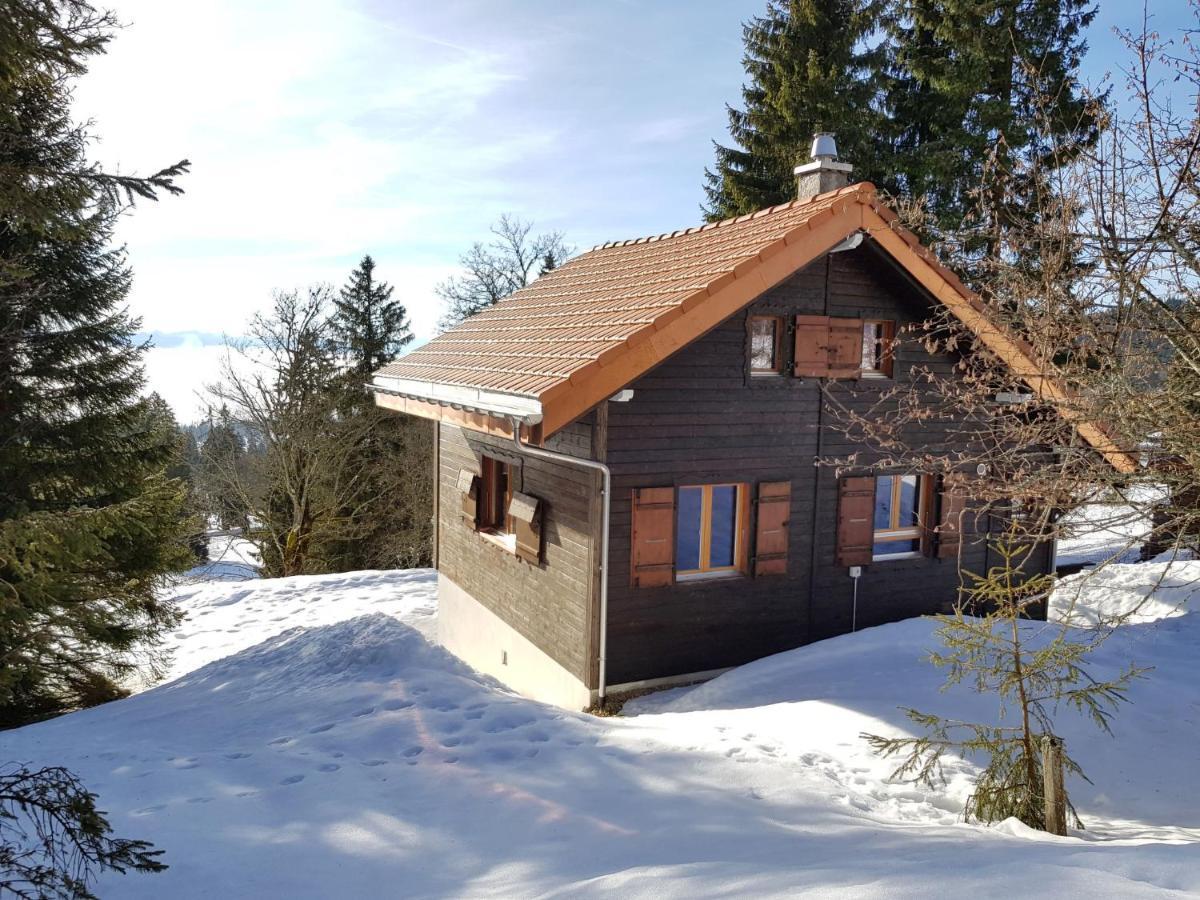 Chalet Chalet De La Vue Des Alpes By Interhome Екстериор снимка